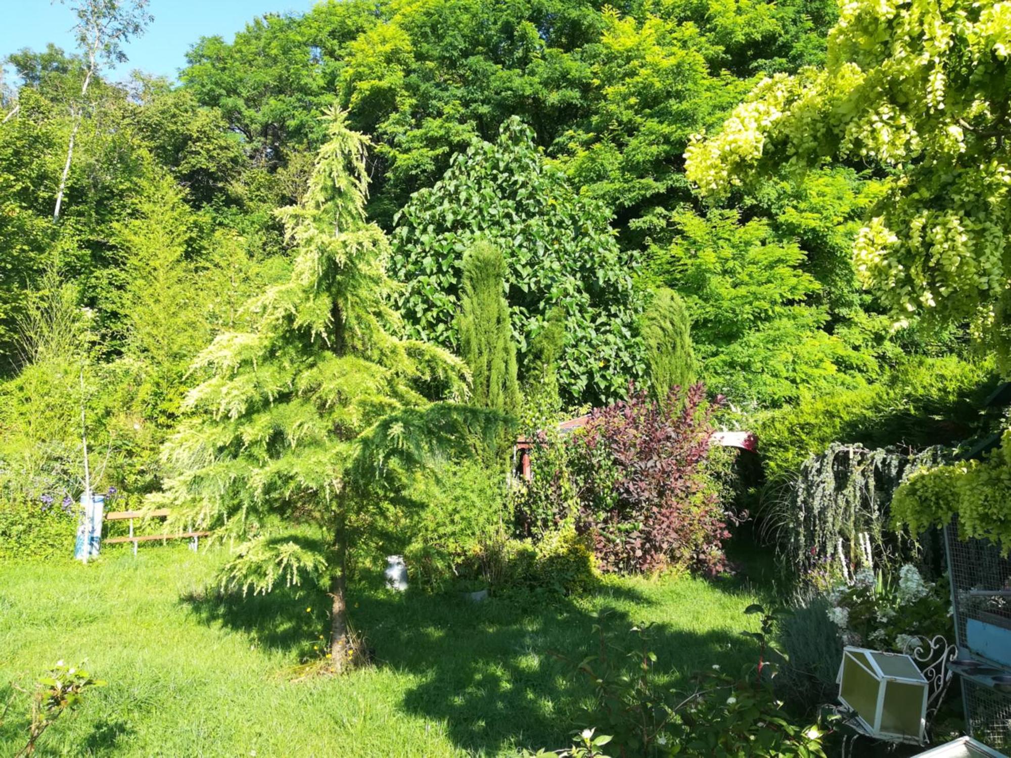 Apiculteur Loue 2 Chambres Dans Cadre Verdoyant Pagny-sur-Meuse Buitenkant foto