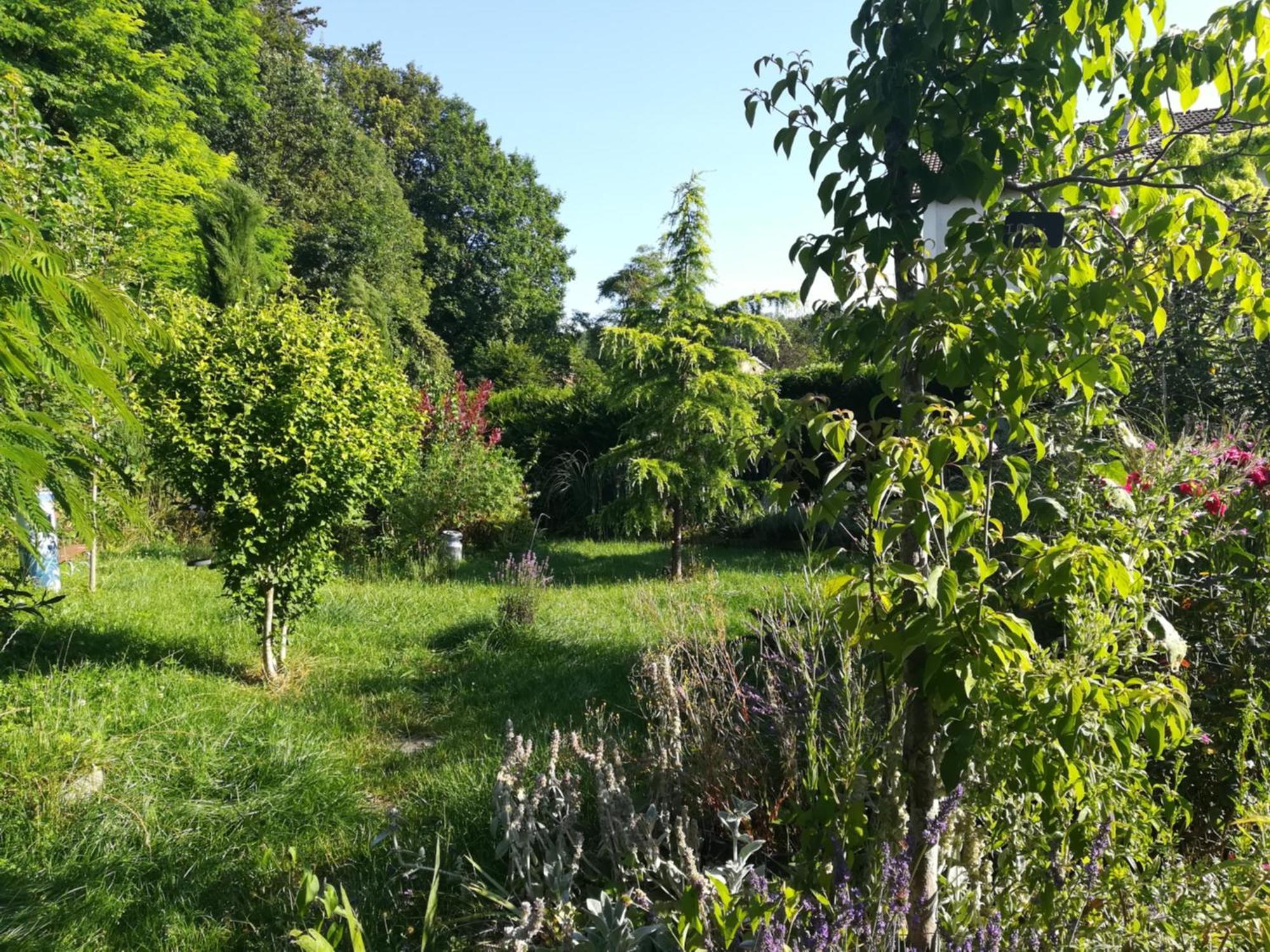 Apiculteur Loue 2 Chambres Dans Cadre Verdoyant Pagny-sur-Meuse Buitenkant foto